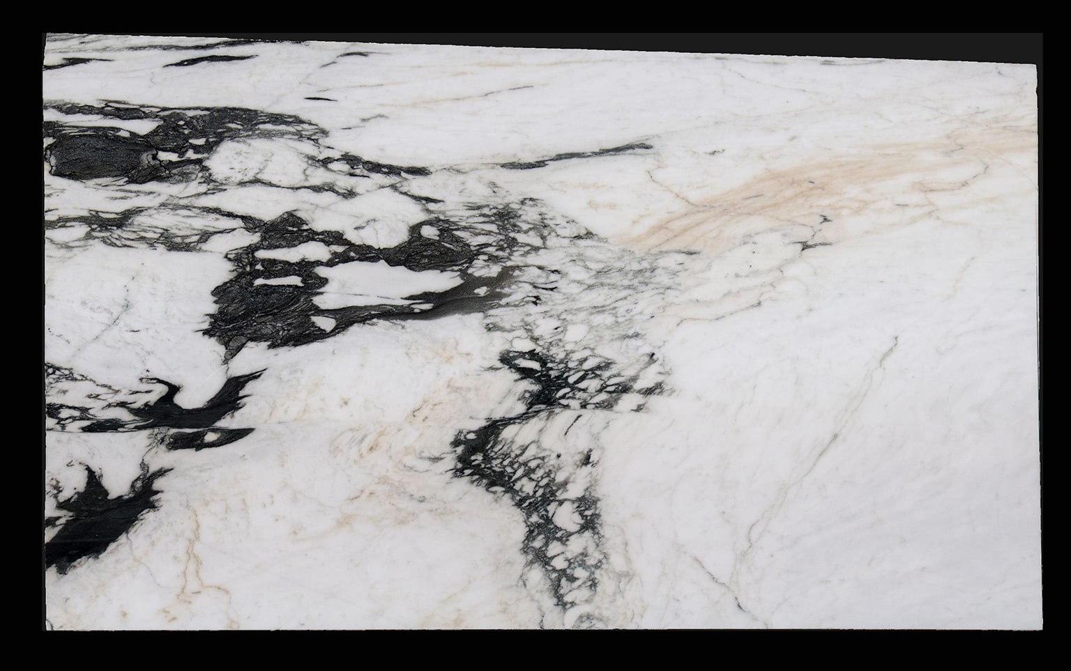 DDL scanner app on smartphone and Zebra handheld scanner